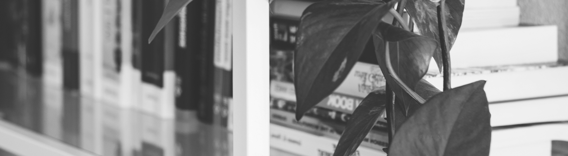 聯系深圳市智皓國際貨運代理有限公司